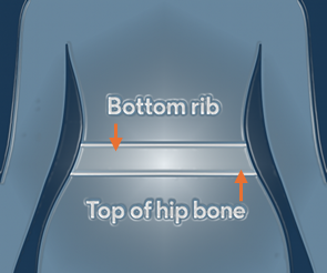 Waist measurement position